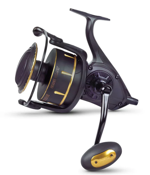 Black Cat Catextreme Big Cat 105