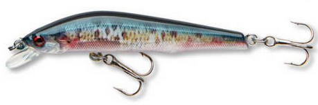 Cormoran Cor F11