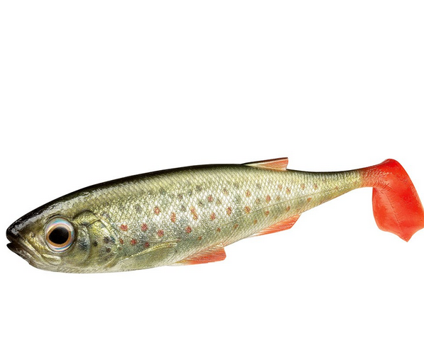 Daiwa Shad Duckfin Liveshad Länge 20cm 2 Stück
